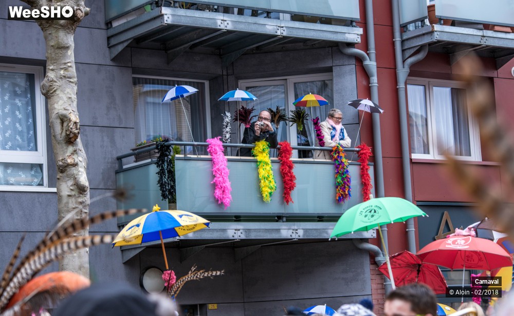 23/34 photos du spectacle Carnaval de Dunkerque 2018