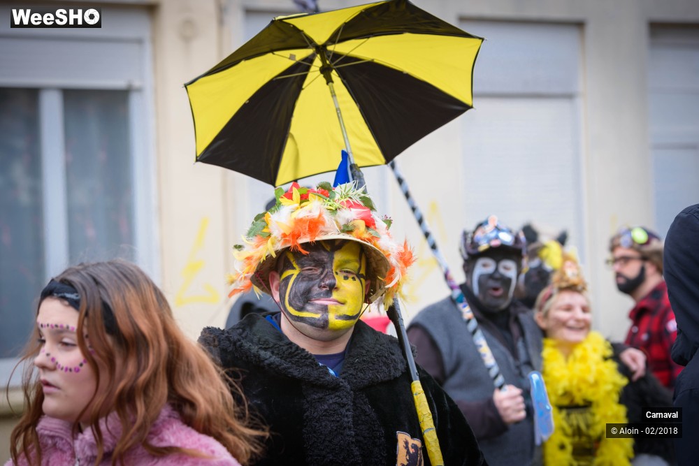 24/34 photos du spectacle Carnaval de Dunkerque 2018