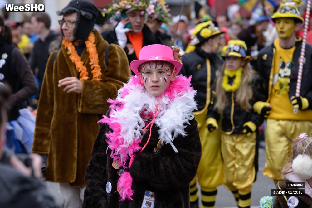 28/34 photos du spectacle Carnaval de Dunkerque 2018
