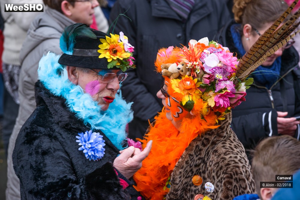 29/34 photos du spectacle Carnaval de Dunkerque 2018