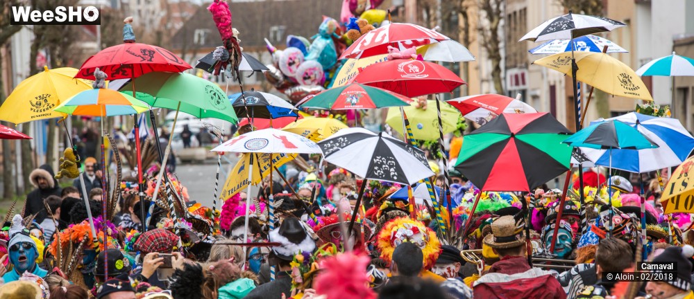 32/34 photos du spectacle Carnaval de Dunkerque 2018