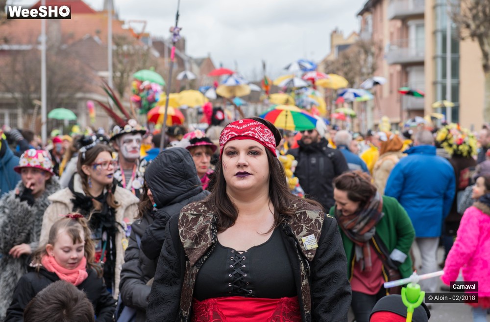 33/34 photos du spectacle Carnaval de Dunkerque 2018