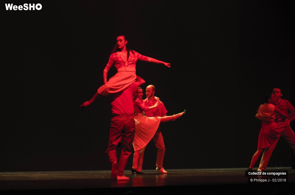 13/13 photos du spectacle Les parapluies de Cherbourg