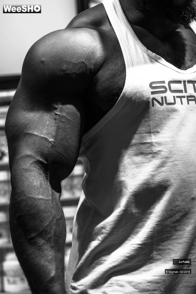 3/31 photos du spectacle Salon Body Fitness