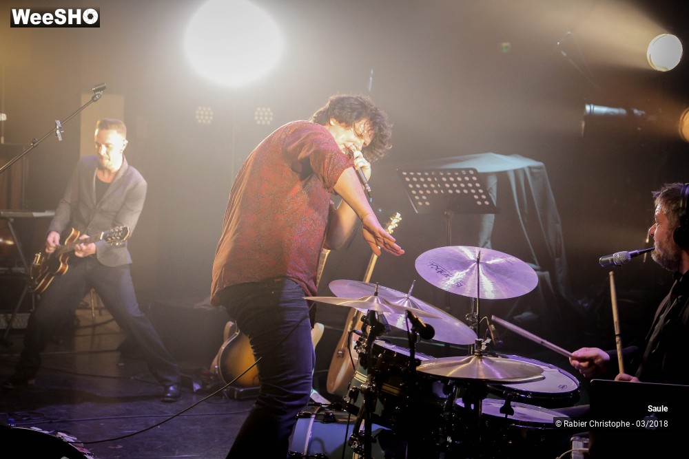 9/40 photos du spectacle Saule