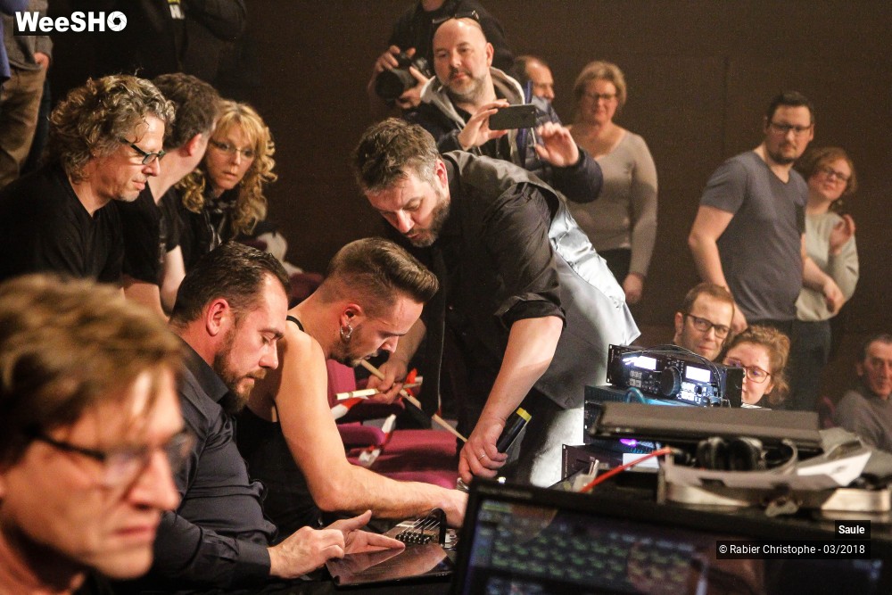 17/40 photos du spectacle Saule