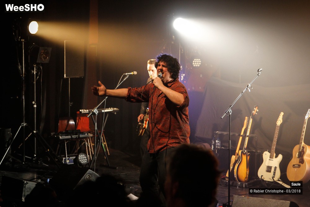 19/40 photos du spectacle Saule