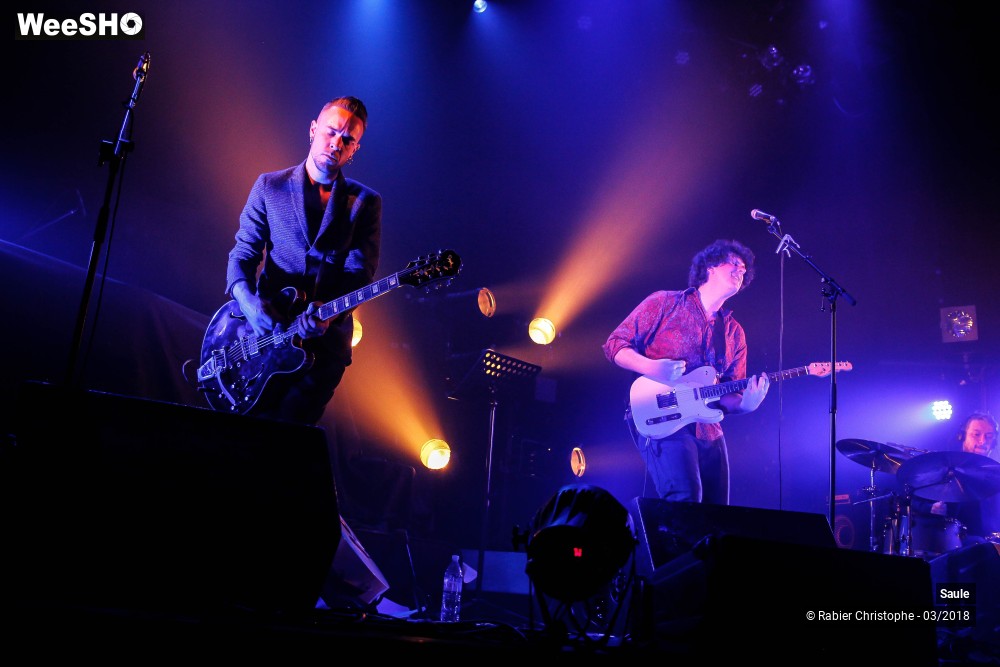 21/40 photos du spectacle Saule