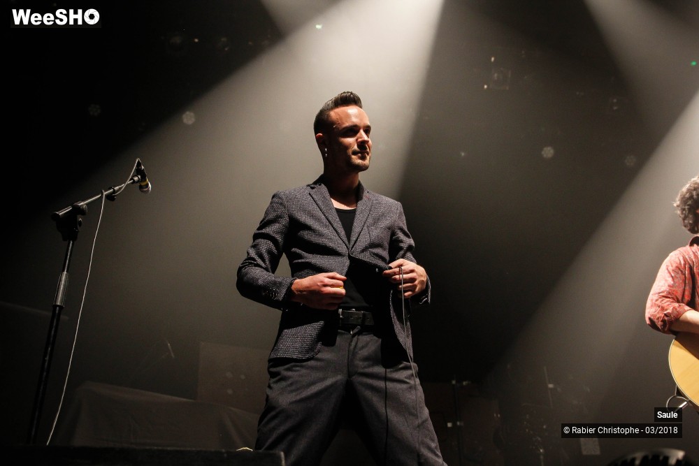 23/40 photos du spectacle Saule