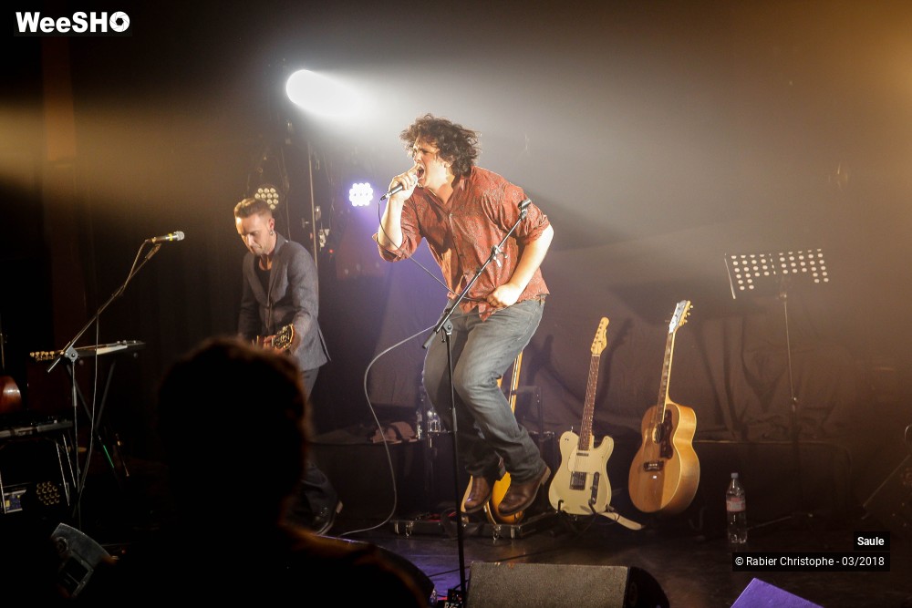 25/40 photos du spectacle Saule