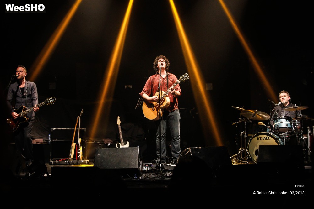 27/40 photos du spectacle Saule
