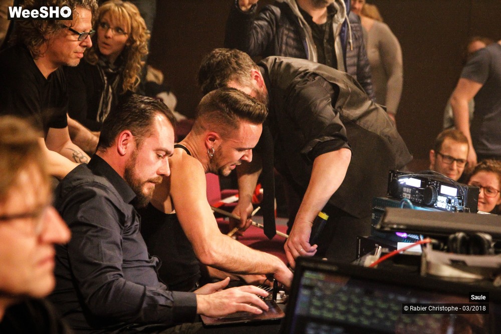 28/40 photos du spectacle Saule