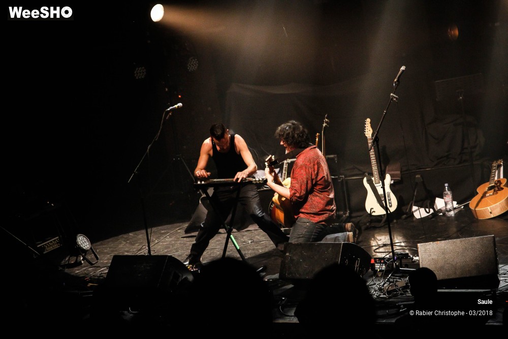 31/40 photos du spectacle Saule