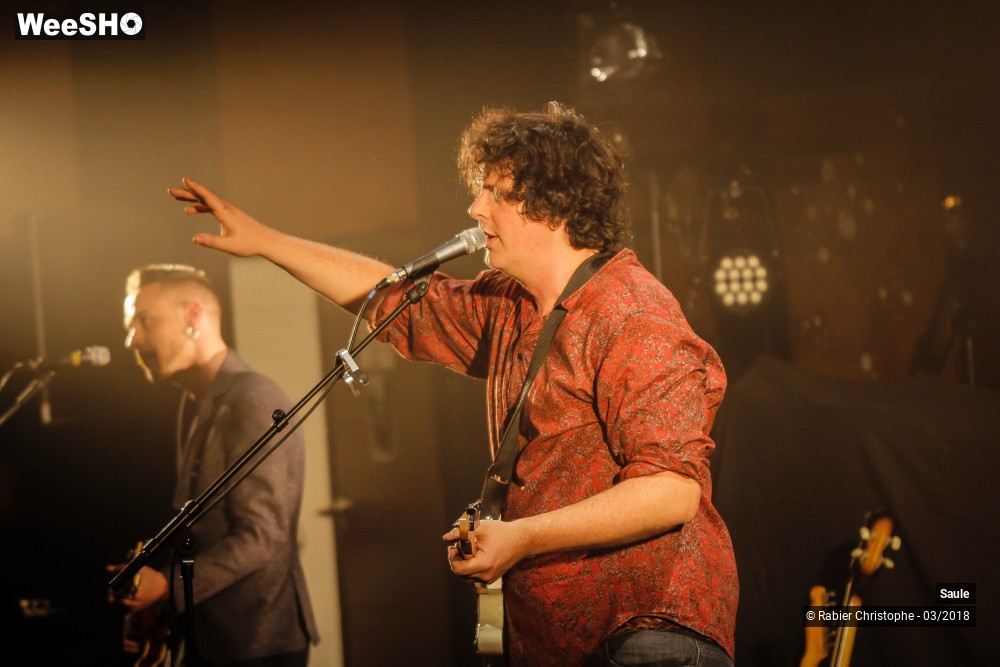 34/40 photos du spectacle Saule