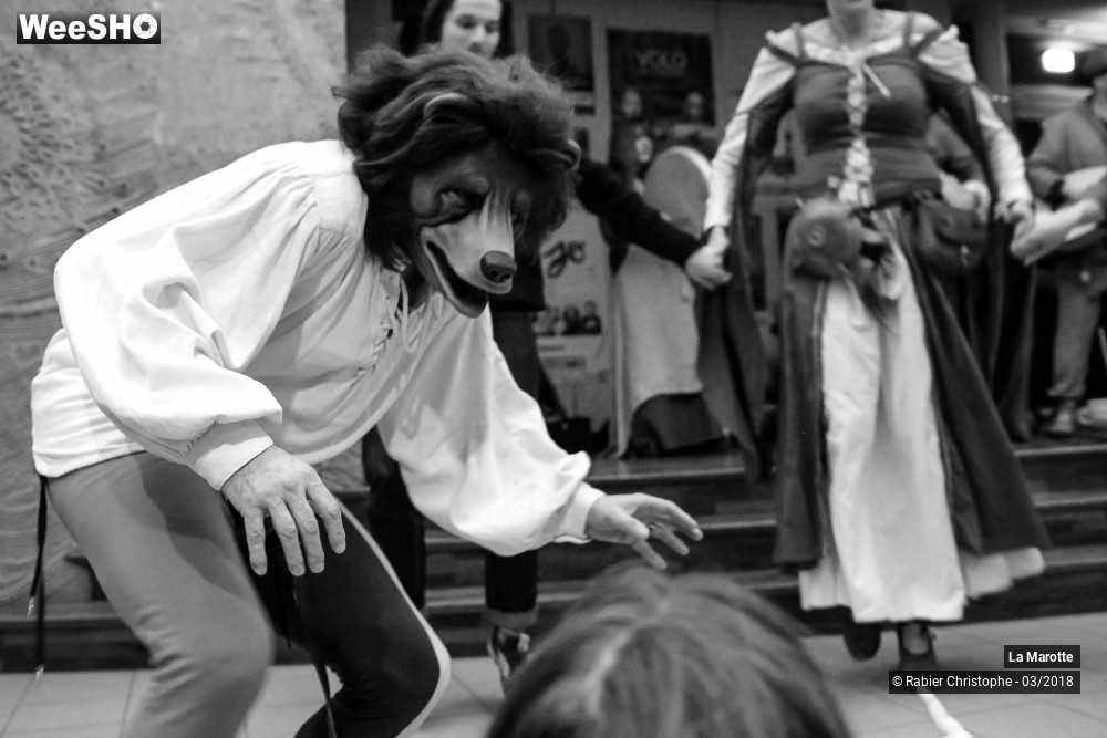 21/28 photos du spectacle la marotte