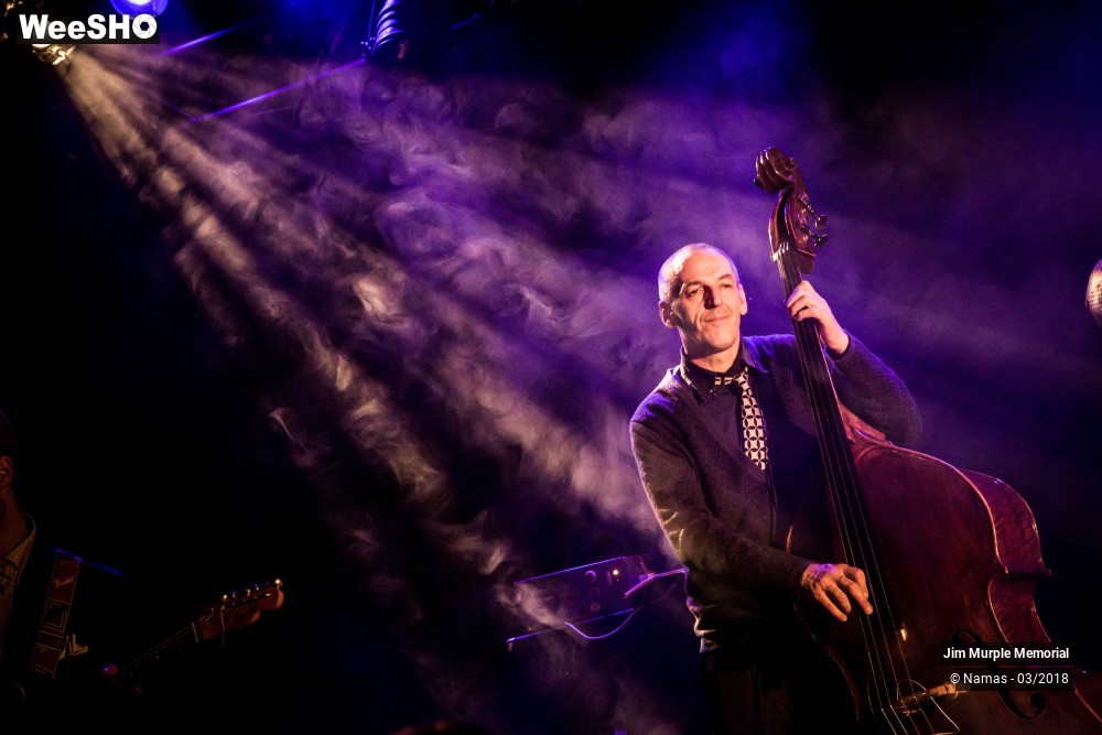 28/31 photos du spectacle Jim Murple Memorial