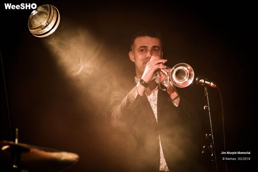 30/31 photos du spectacle Jim Murple Memorial
