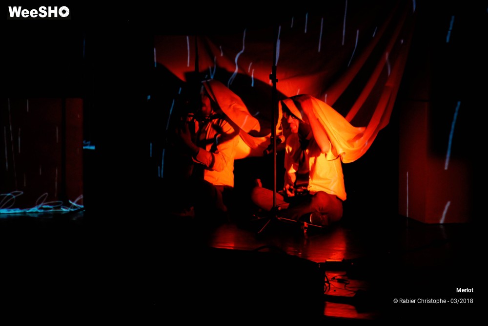 15/51 photos du spectacle Merlot