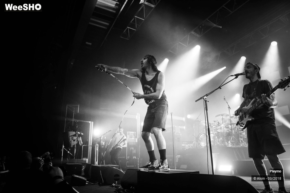 14/18 photos du spectacle Pleymo