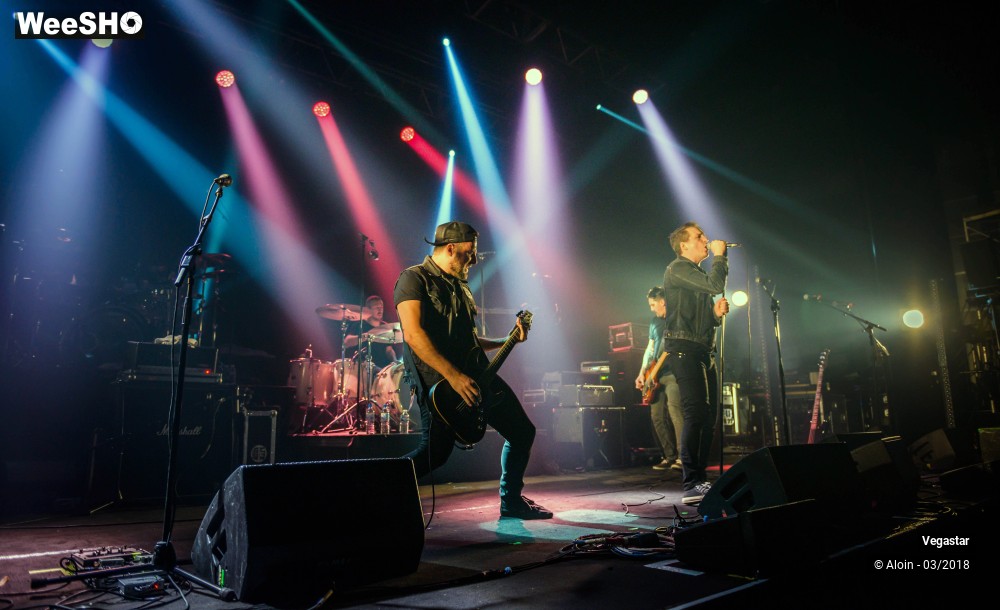 5/10 photos du spectacle vegastar
