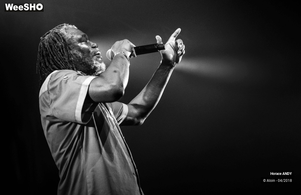 13/15 photos du spectacle Horace ANDY