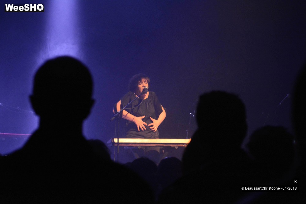 26/29 photos du spectacle K 