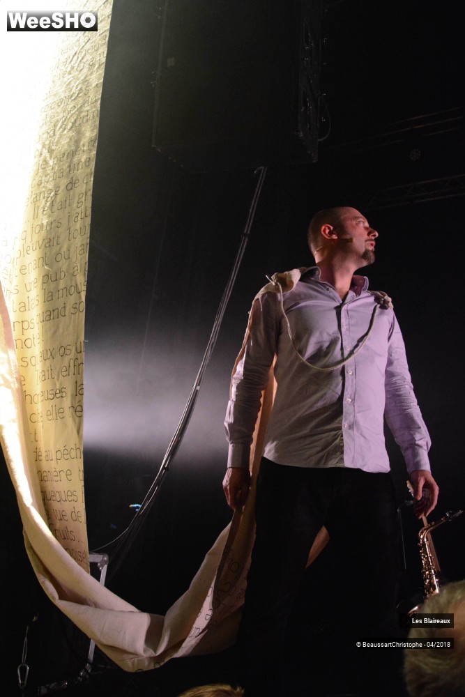 5/50 photos du spectacle Les Blaireaux