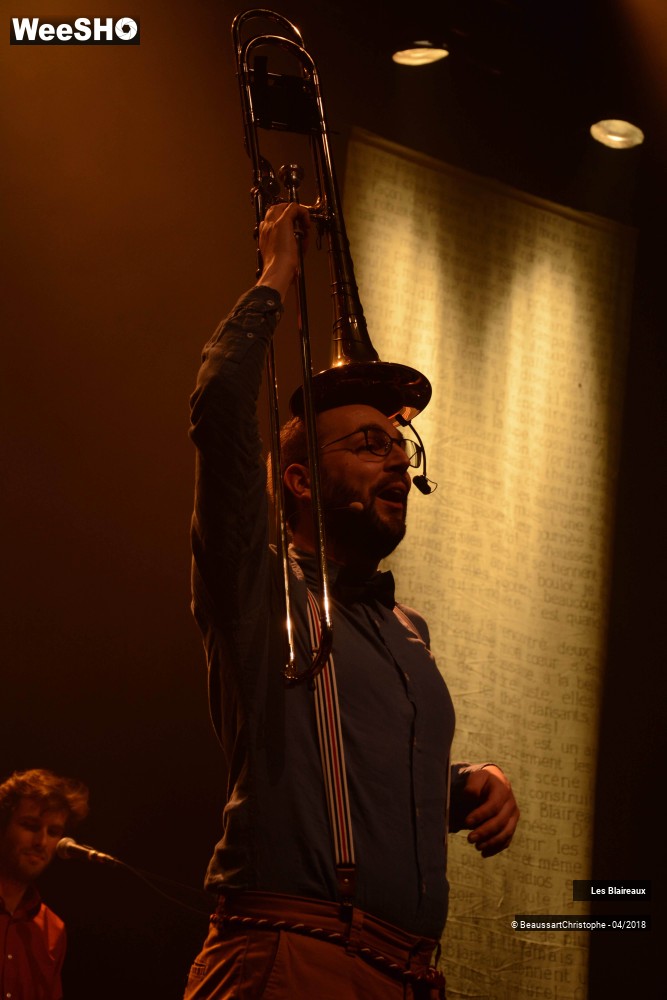 17/50 photos du spectacle Les Blaireaux