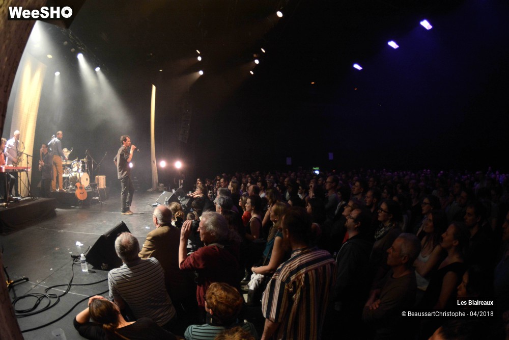 24/50 photos du spectacle Les Blaireaux