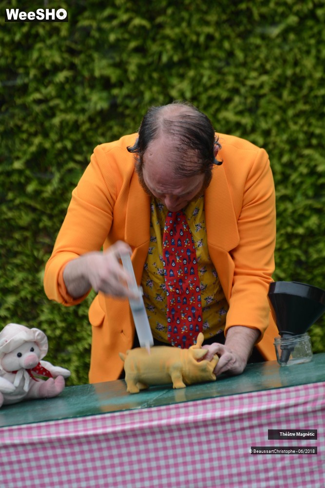 3/19 photos du spectacle 3 petits cochons