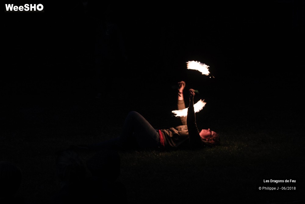 5/9 photos du spectacle Les Dragons de Feu