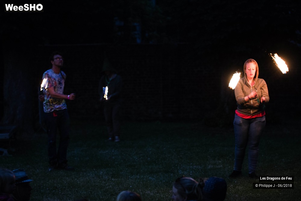 8/9 photos du spectacle Les Dragons de Feu