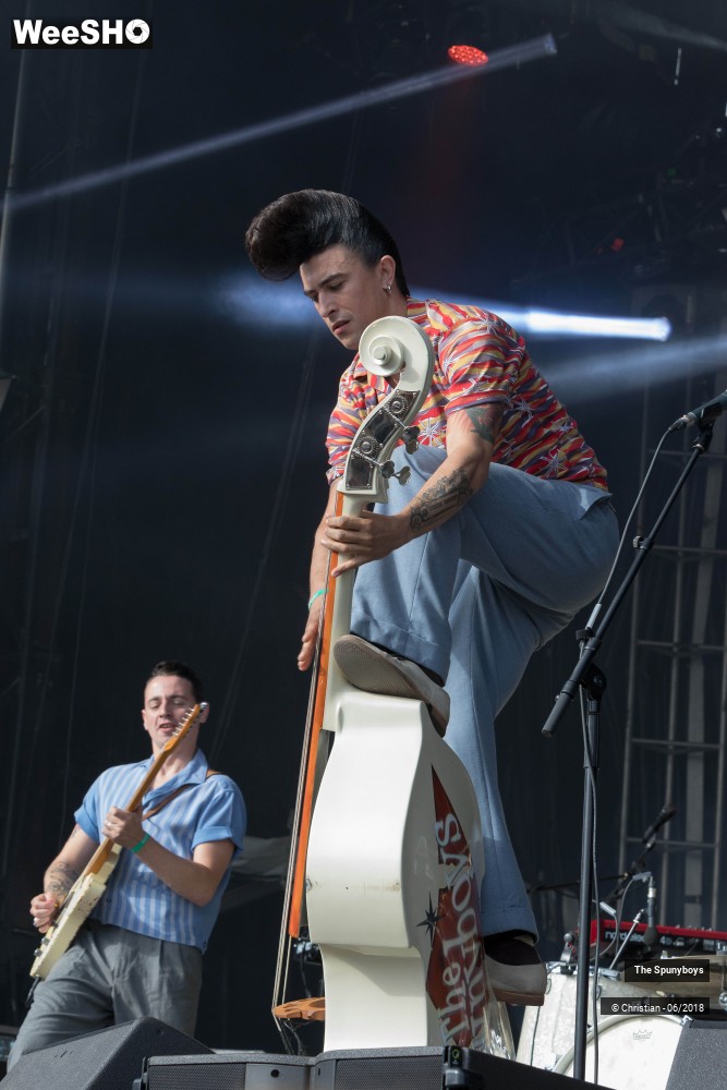 8/47 photos du spectacle The Spunyboys