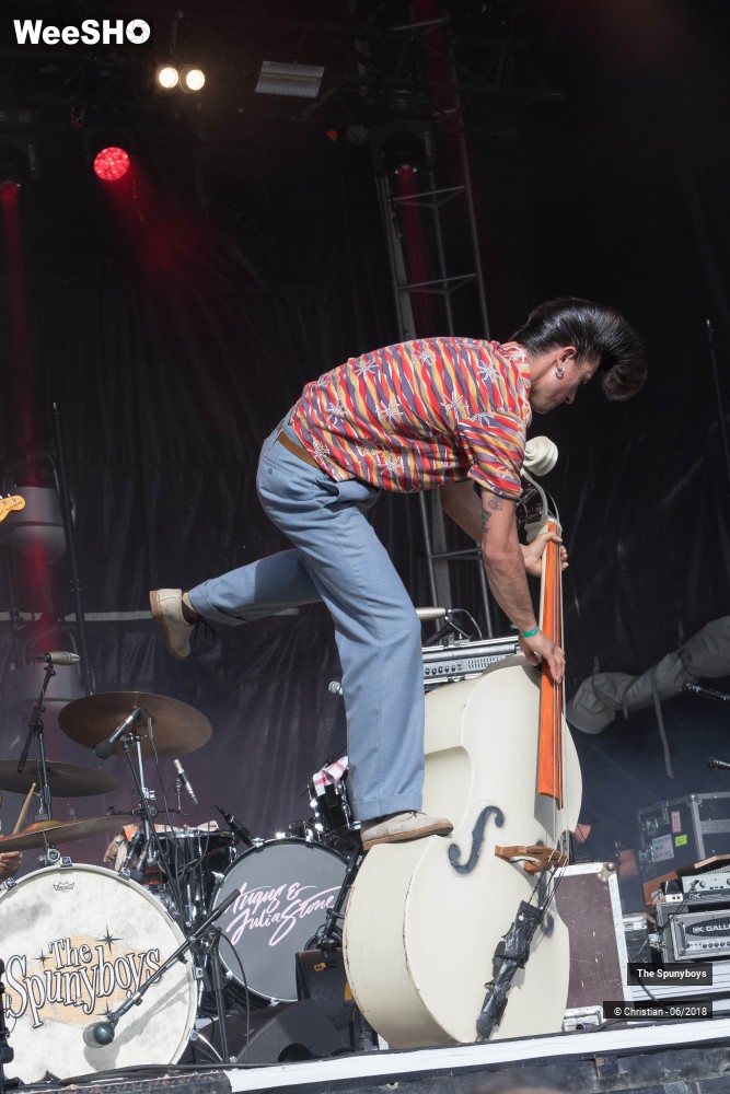 14/47 photos du spectacle The Spunyboys