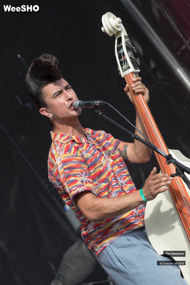 16/47 photos du spectacle The Spunyboys