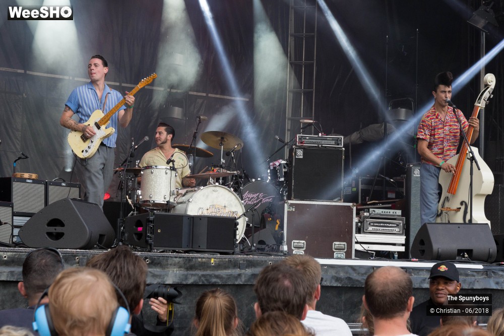 29/47 photos du spectacle The Spunyboys