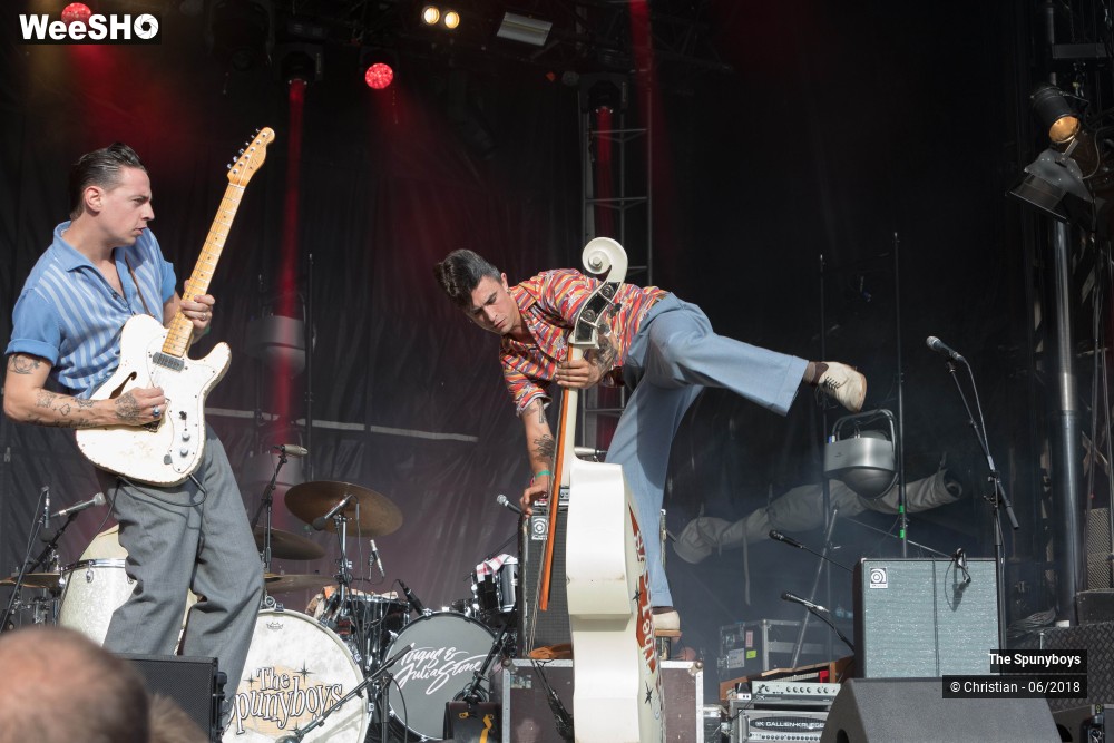 30/47 photos du spectacle The Spunyboys