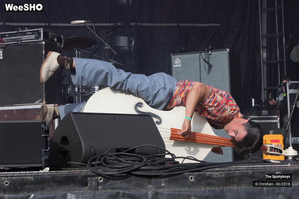 31/47 photos du spectacle The Spunyboys