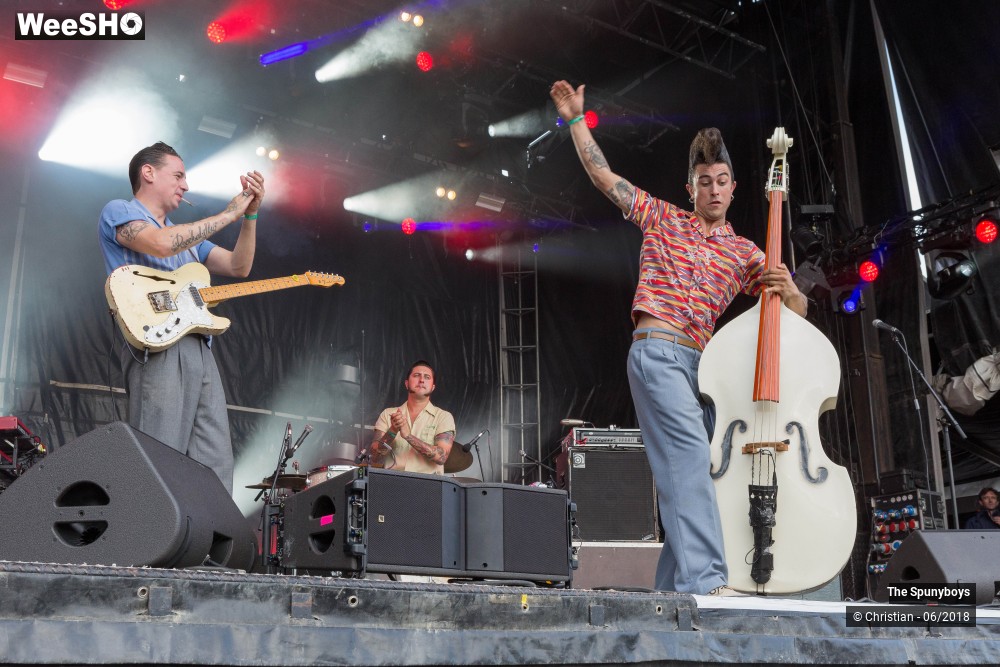 33/47 photos du spectacle The Spunyboys
