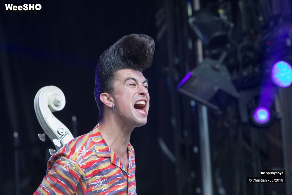 41/47 photos du spectacle The Spunyboys