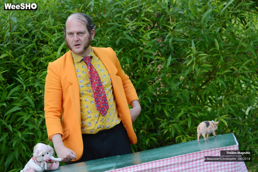 16/26 photos du spectacle 3 petits cochons