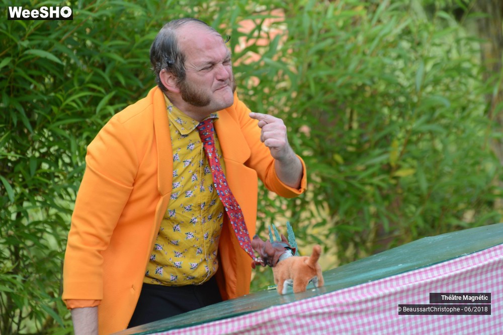 23/26 photos du spectacle 3 petits cochons