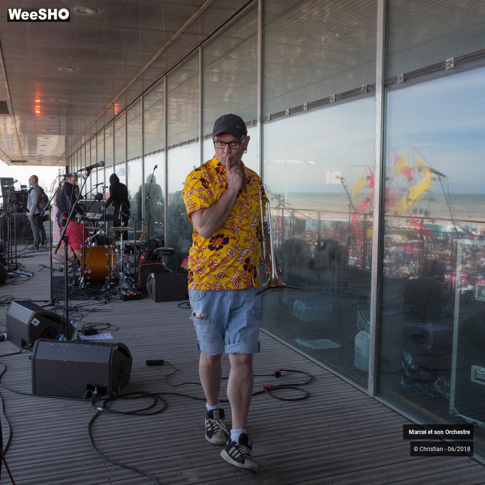 15/25 photos du spectacle Marcel et son Orchestre en Showcase