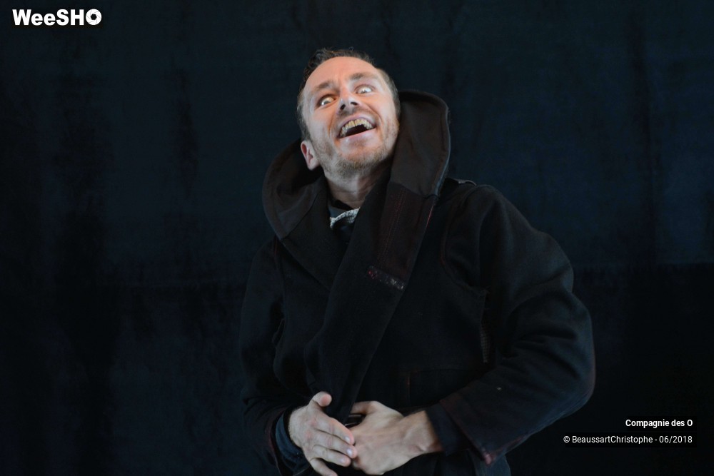 36/43 photos du spectacle Sherlock Holmes