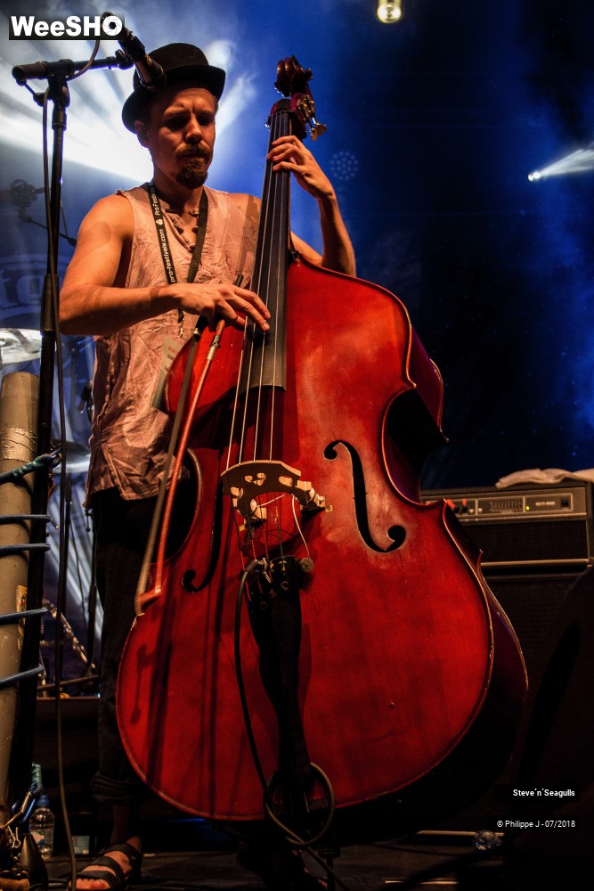 5/13 photos du spectacle Steve 'N' Seagulls
