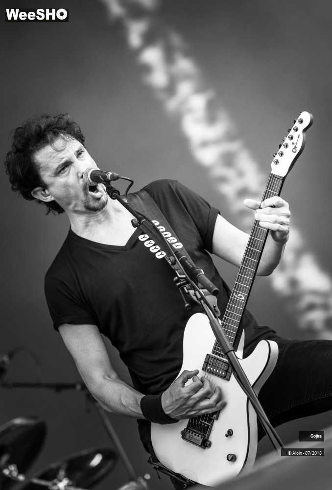 4/15 photos du spectacle Gojira