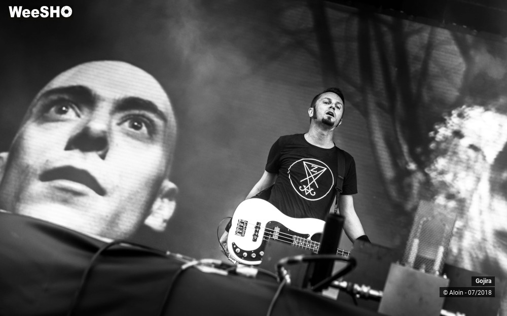 11/15 photos du spectacle Gojira