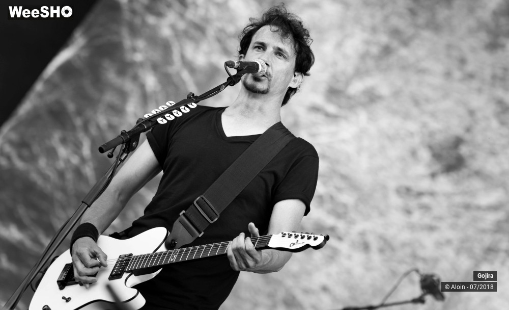 12/15 photos du spectacle Gojira