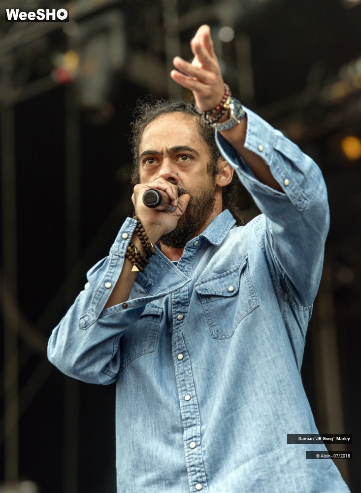 2/16 photos du spectacle Damian " JR Gong " Marley