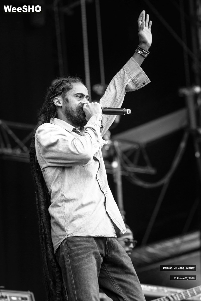 4/16 photos du spectacle Damian " JR Gong " Marley